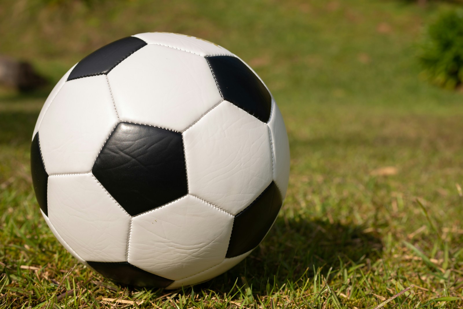伟德体育 · 体育资讯与赛程首页主视觉配图